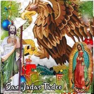 Meet your Posher, Jose